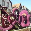 12.8.2018  S�lestat - Corso Fleuri / Blumen Korso